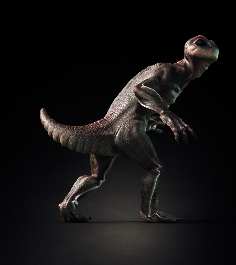 salamander_01_00000