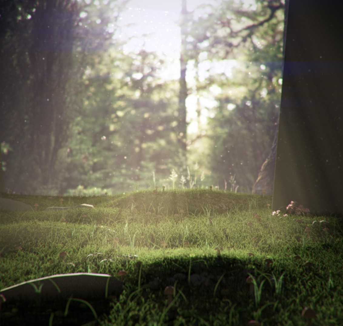 XGen forest